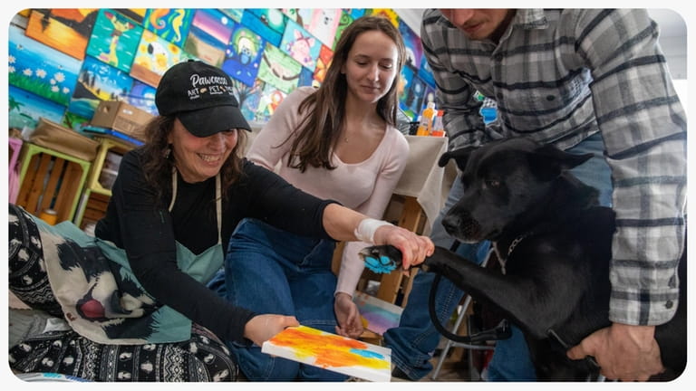 Owner Barbara Martorelli makes dog paw art with Alli Carpenter...