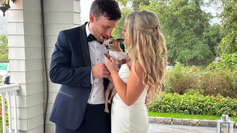 Lauren, 32, and Michael Meinsen, 33, included their chihuahua, Chloe,...